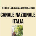 Canale Nazionale Italia cover art
