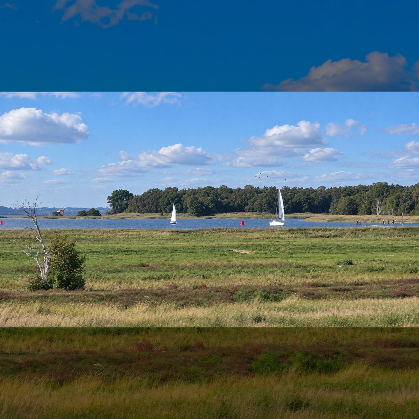 Webcam aus der Marina Kröslin im Baltic Sea Resort
