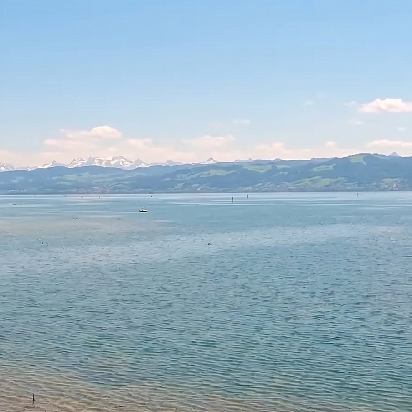 Webcam in Eriskirch am Bodensee