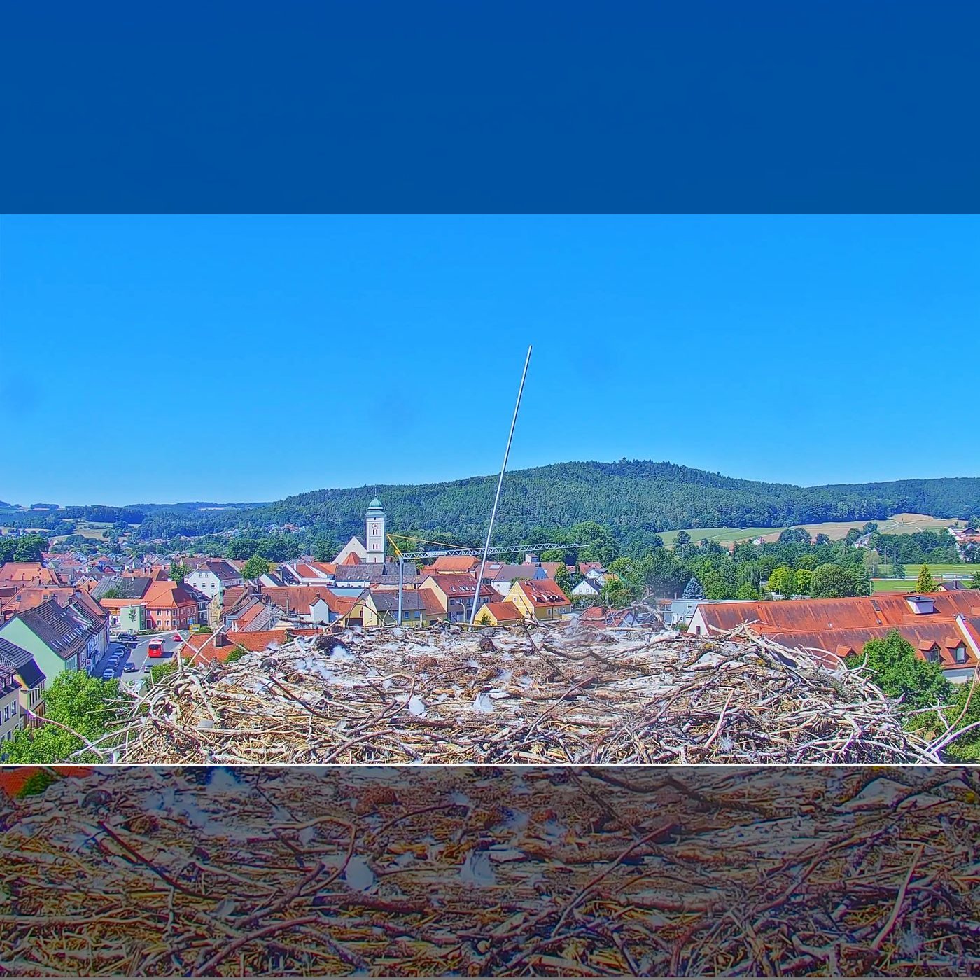 Webcam aus Pfreimd mit Storchennest