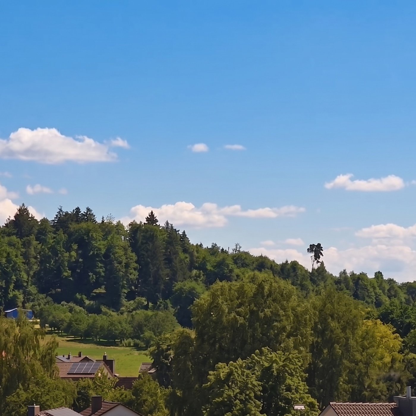 Webcam mit Livestream aus Owingen am Bodensee