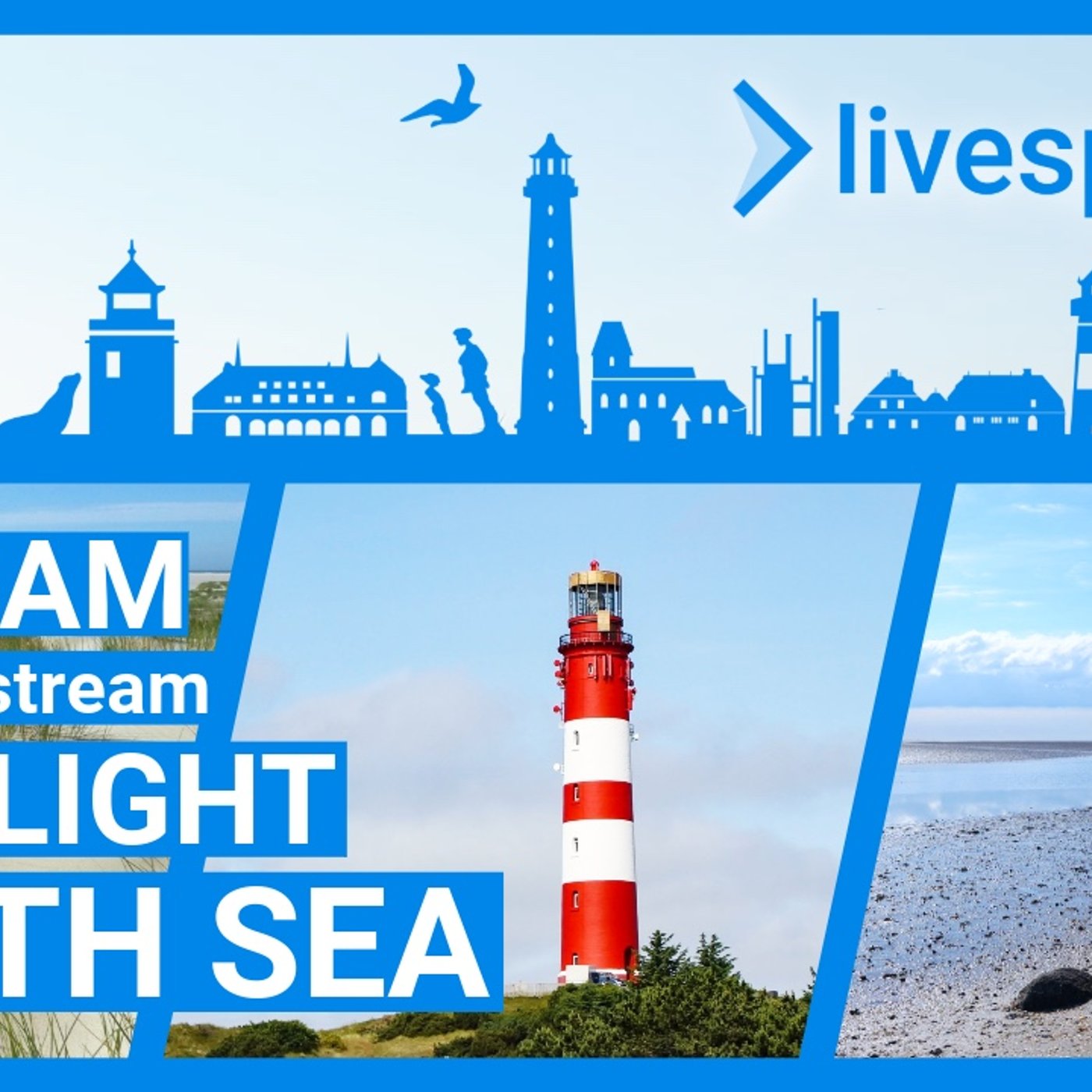 Spotlight North Sea – 24/7 Live Webcams: Beaches, Islands & Nature in HD